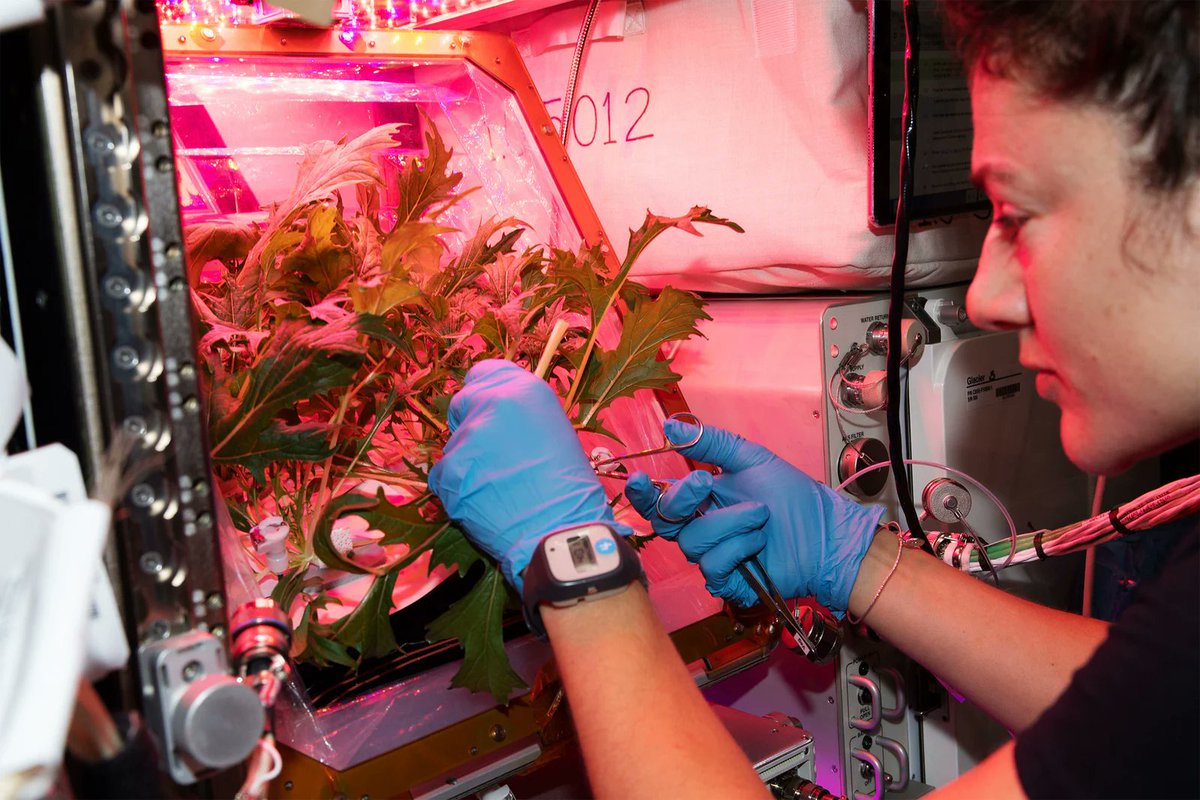 Stemettes ® ♥★#●+ (@stemettes) on Twitter photo Happy Birthday <a href="/NASA/">NASA</a> Astronaut, Flight Engineer <a href="/Astro_Jessica/">Jessica Meir</a> 🎉👩🚀
"You always remember your first trip out of the hatch—that first moment where you come outside of the <a href="/Space_Station/">International Space Station</a> and you look down, and there’s nothing between you and the Earth."
#WomenInSTEM Happy Birthday <a href="/NASA/">NASA</a> Astronaut, Flight Engineer <a href="/Astro_Jessica/">Jessica Meir</a> 🎉👩🚀
"You always remember your first trip out of the hatch—that first moment where you come outside of the <a href="/Space_Station/">International Space Station</a> and you look down, and there’s nothing between you and the Earth."
#WomenInSTEM