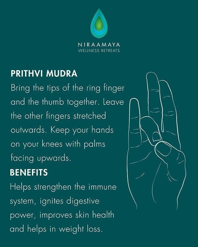 Looking for hair-growth hacks? Well, the solutions are literally right in  your hands! The 4 Mudras: Prithvi Mudra, Prasanna Mudra, Vaayu… | Instagram