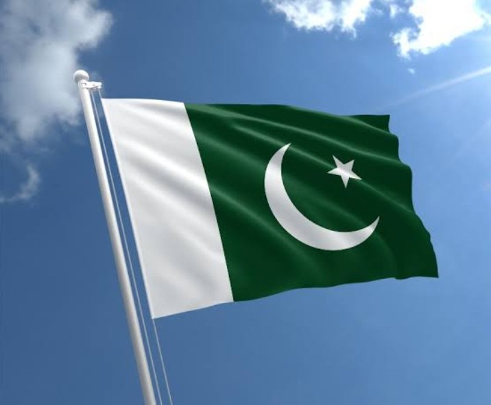 1. What do you see in this flag?There r 2 colors, what do they represent?Yes, there r other religious minorities living in this country too and they have their representation in this flag. If u don't know, please research it. The Constitution of Pakistan gives them rights.