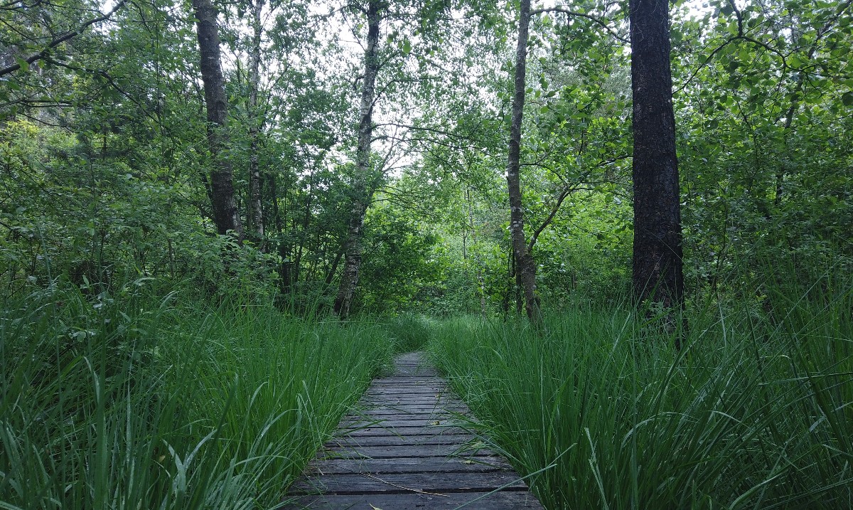 GazorTrail's tweet photo. https://t.co/ex6oZt2xEI #exploring #valley #backcountry #bush #backpack #hiking #camping #tent #walking #camping #trails #trailgazor #views #amazing #nature #forest #village #germany #belgium #border https://t.co/0F7NnDIxnr
