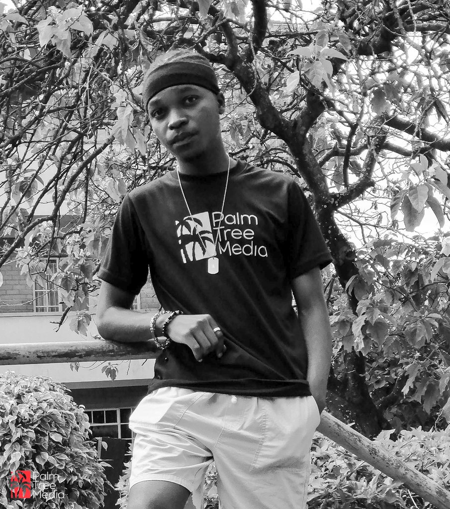 Palm Tree Media. tweet media