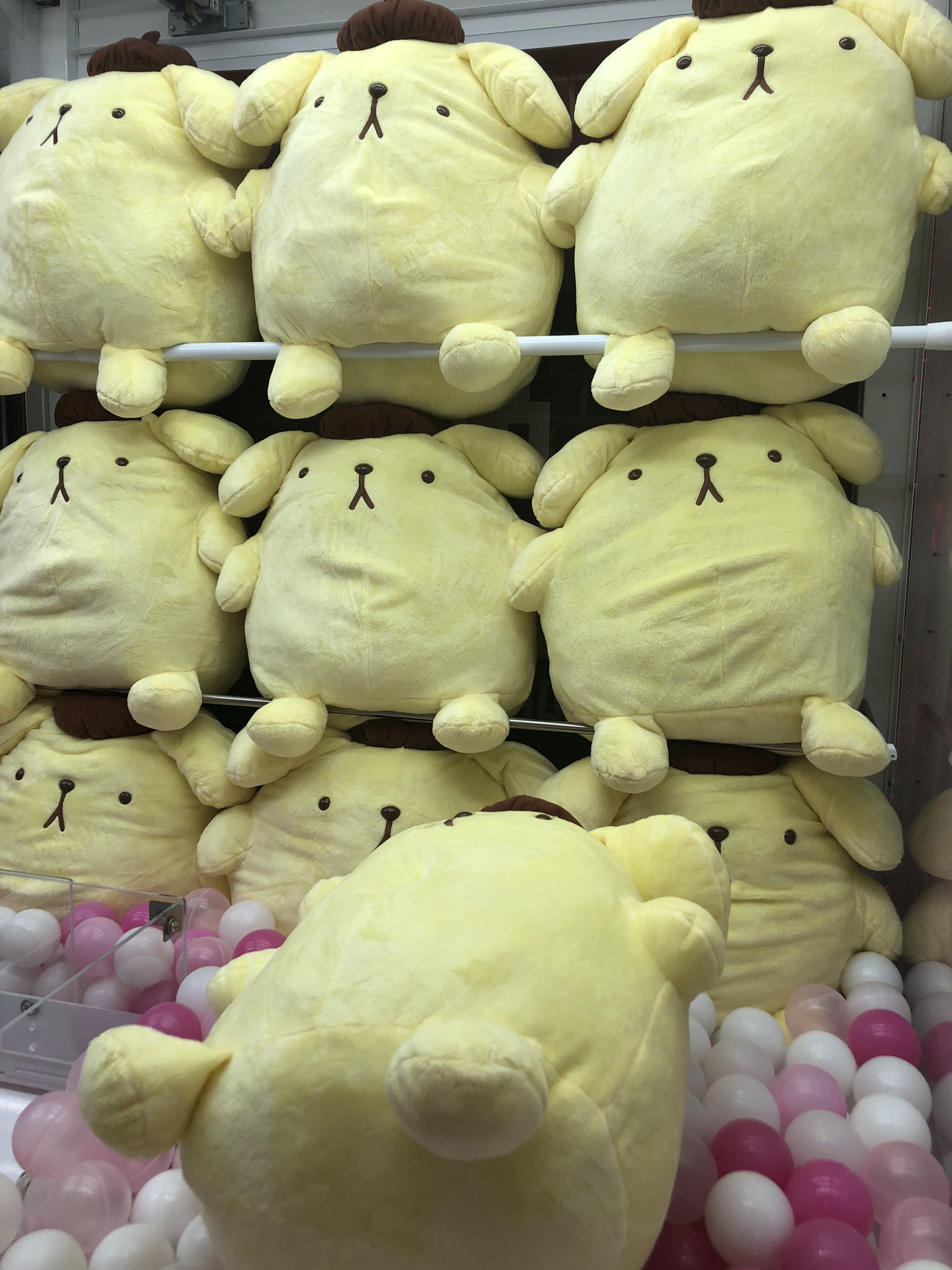 ポムポムプリンの大きいぬいぐるみ Amazon.co.jp: フリュー ポムポムプリン 超超BIGぬいぐるみ 蝶