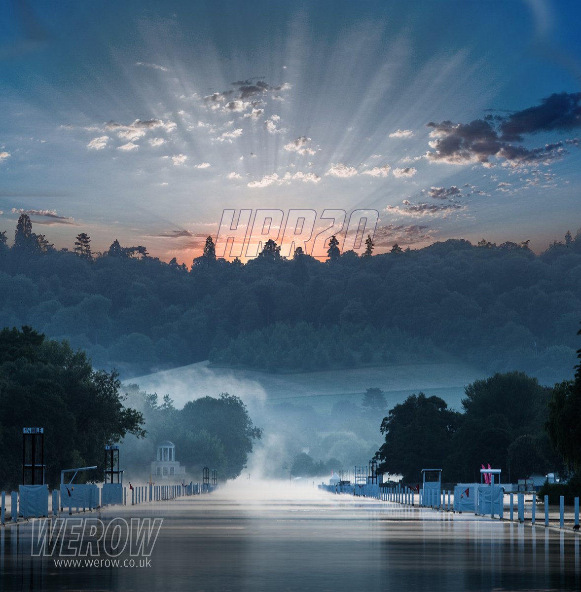 WEROW Life tweet media