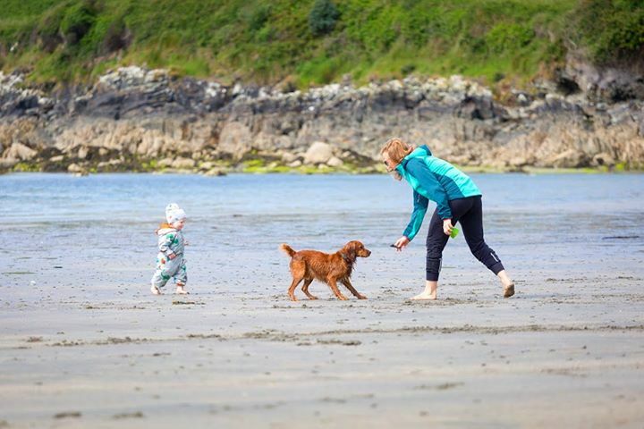 Fun and fetch on the beach 🏖 •
•
•
•
•
#hikingwithkids #parentswhowander #childrenofmountains #takeyourkidseverywhere #littletraveler #goadventuretogether #adventuringwithkids #adventurefamily #runwildmychild #yesdeuter #dogsonadventures #thegreatoutdogs #backcountrypaws…