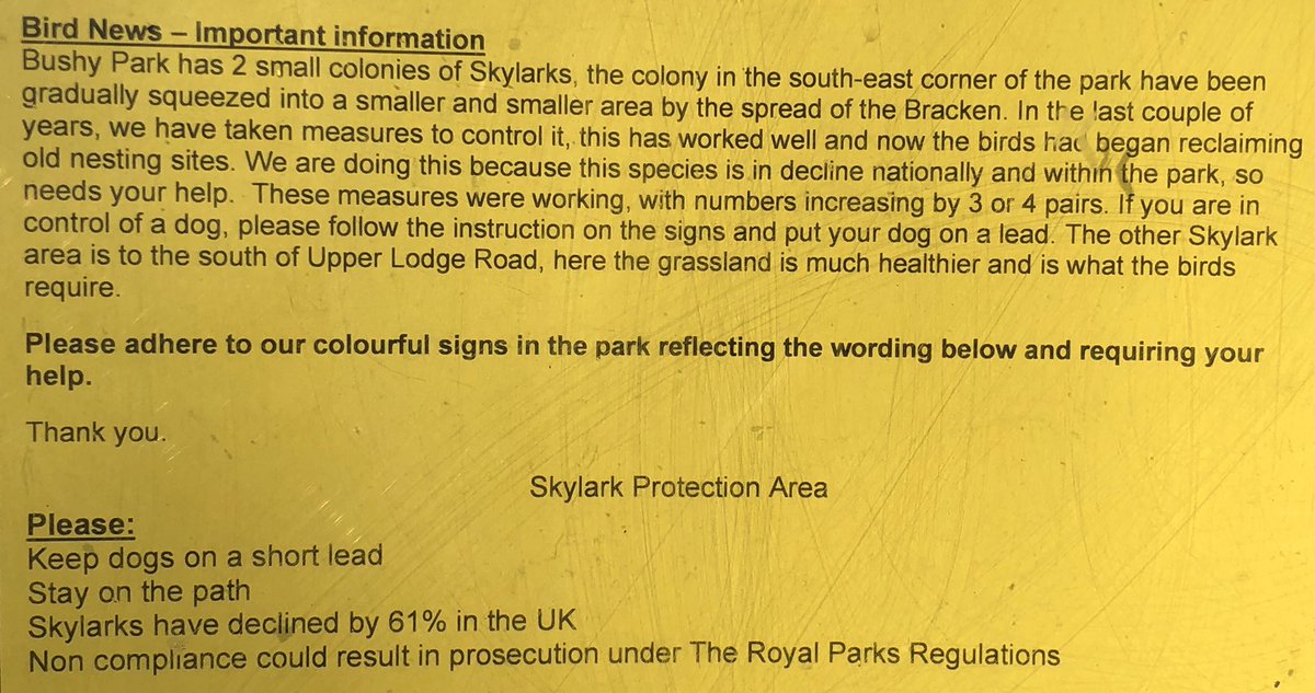 Skylarks have declined by 61 % in the U.K. We are lucky enough to have two colonies in #BushyPark They nest on the ground which is another reason dog walkers are asked to keep their dogs on leads at all times at the moment. <a href="/theroyalparks/">The Royal Parks</a>