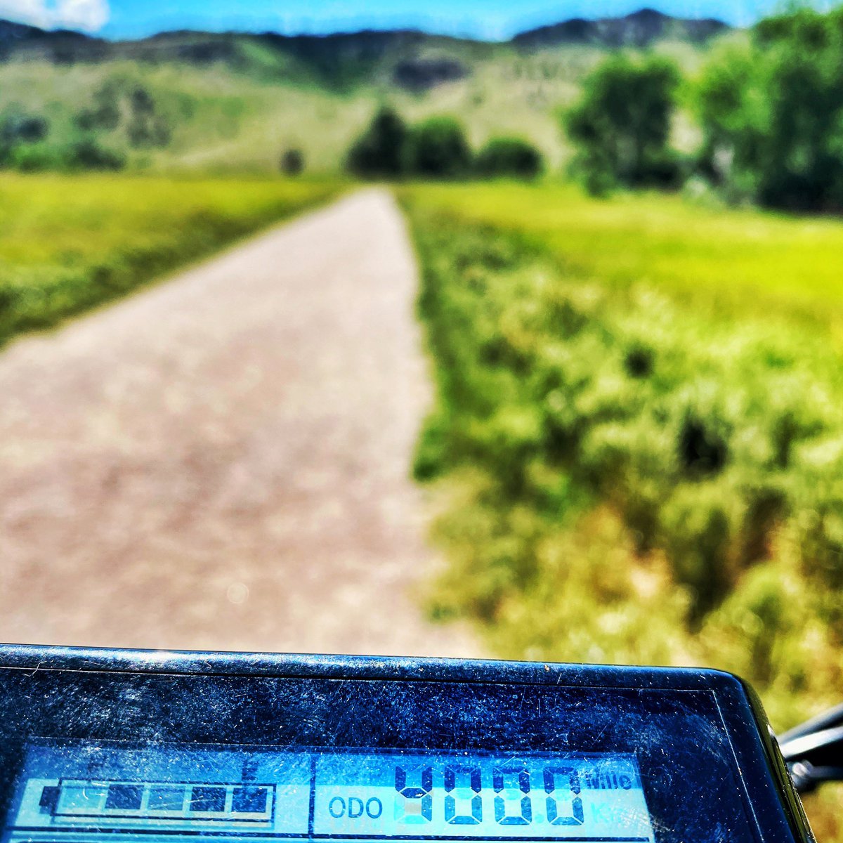 thevibrarian's tweet photo. Pretty happy about hitting #4000miles today on my #radwagon from @RadPowerBikes. I can’t recommend it highly enough. https://t.co/hq7K75OJx5