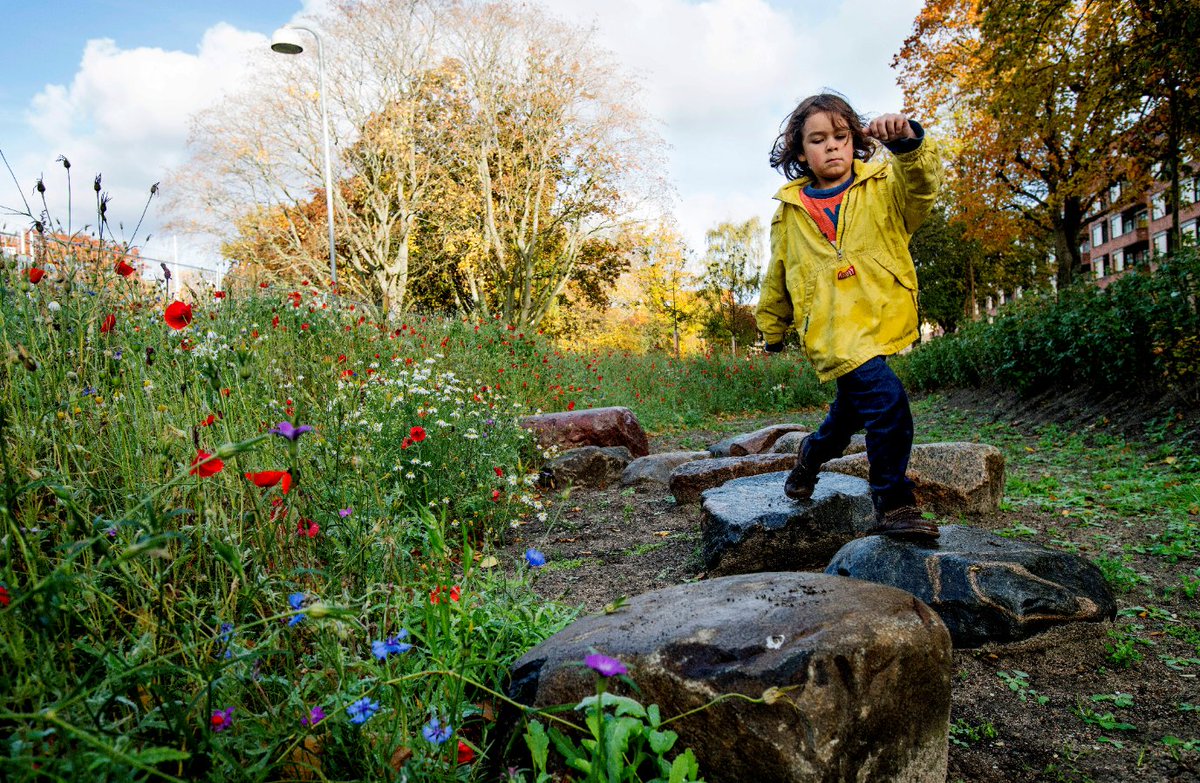 Realdaniadk's tweet image. Danske kommuner skriver klimahistorie: På Samsø og i Sønderborg er to klimaplaner af international standard netop blevet godkendt af det globale bynetværk @c40cities. #dk2020 #dkgreen #kompoldk #dkpol
realdania.dk/nyheder/2020/0…