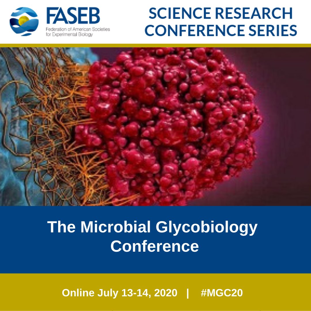 JugeLab's tweet photo. Interested in the role of glycans in the adaptation of bacteria to the gut? We have a whole session dedicated to it! Please register by July 10: https://t.co/N9LzW5pCrd and join us on-line. https://t.co/xi3RziNUZE