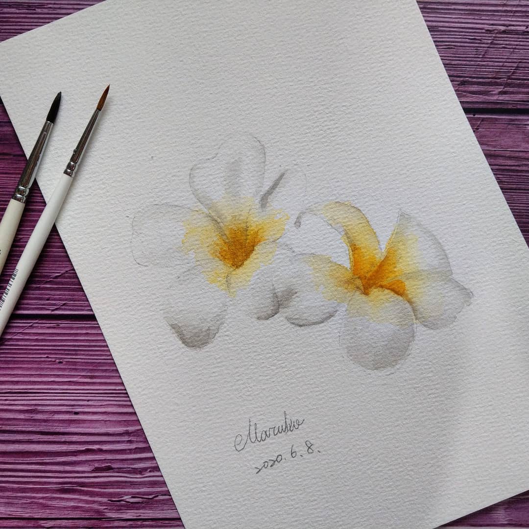 טוויטר Maruko 丸玩手作בטוויטר 畫花草草 雞蛋花是夏天的花 簡單可愛 畫花草草 丸玩手作 Painting Drawing Watercolor 插畫 水彩 水彩画 水彩插畫 טוויטר Maruko 丸玩手作בטוויטר 畫花草草 雞蛋花是夏天的花 簡單可愛 畫花草草 丸玩手作 Painting Drawing Watercolor 插畫 水彩 水彩画 水彩插畫