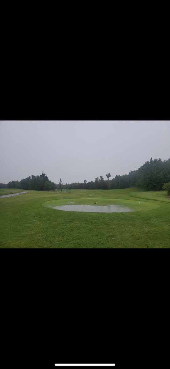 slaps28's tweet image. Due to the amount of rain over the last 24 hours the @NorthernBearG will be closed until further notice.  Happy Canada day 🇨🇦
#yeggolf