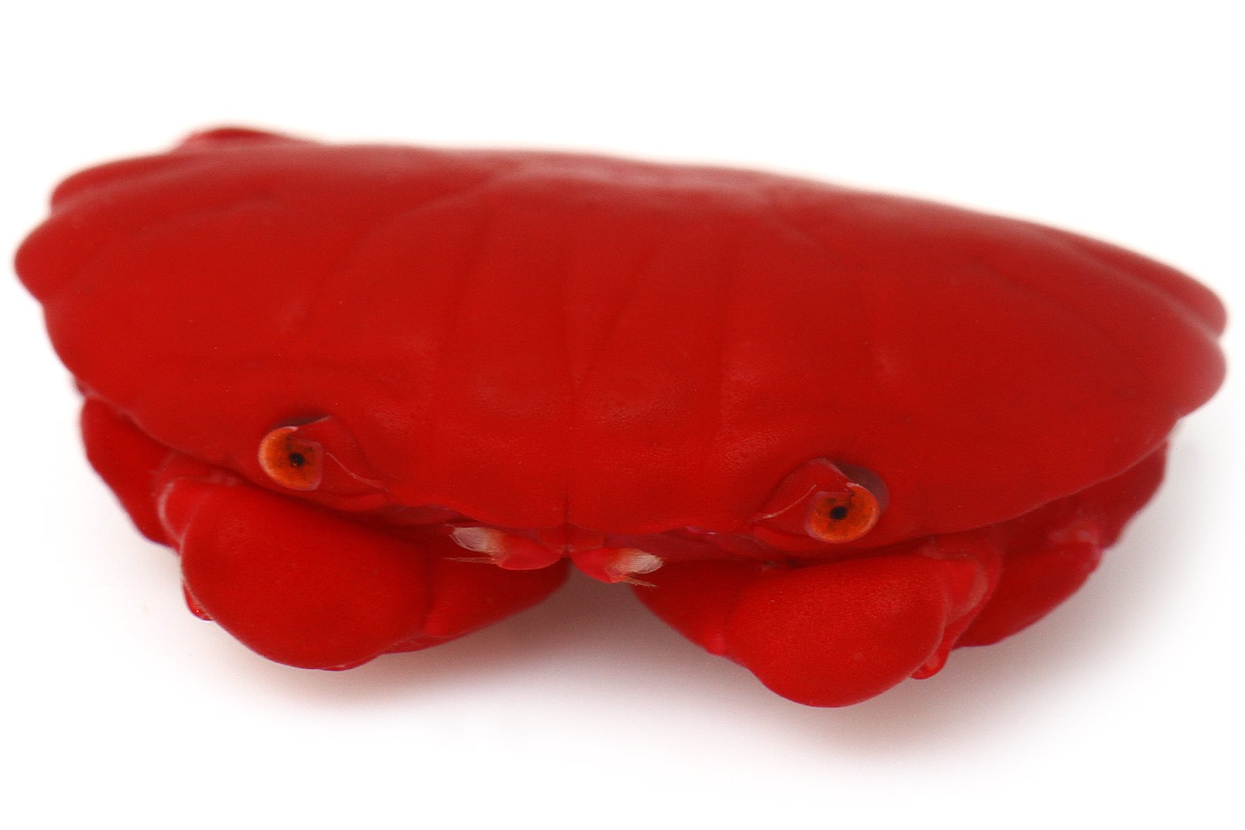 カニページ サベージ ギア「TPE 3D クラブ」 | NEST BLOG / ネスト ブログ