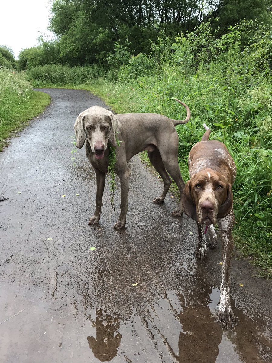 emmatdedman1's tweet photo. 3.5miles of #mattocksmoonmiles with those 2 gorgeous ones!! @mattocks_ps @nathanrdedman @HayhurstBoo https://t.co/SHLMaopUuz