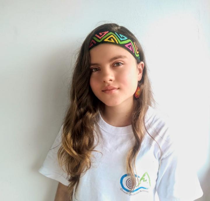ChildRightsCnct's tweet photo. #2020ADRCenvironment: The afternoon panel is about to start! Check https://t.co/IcsJUYFndS for more info. Juliana, a #Child environmental human rights defender from Colombia, will speak to denounce environmental issues affecting #Children in #LatinAmerica. #HRC44 https://t.co/DHPNQ3Ip7E