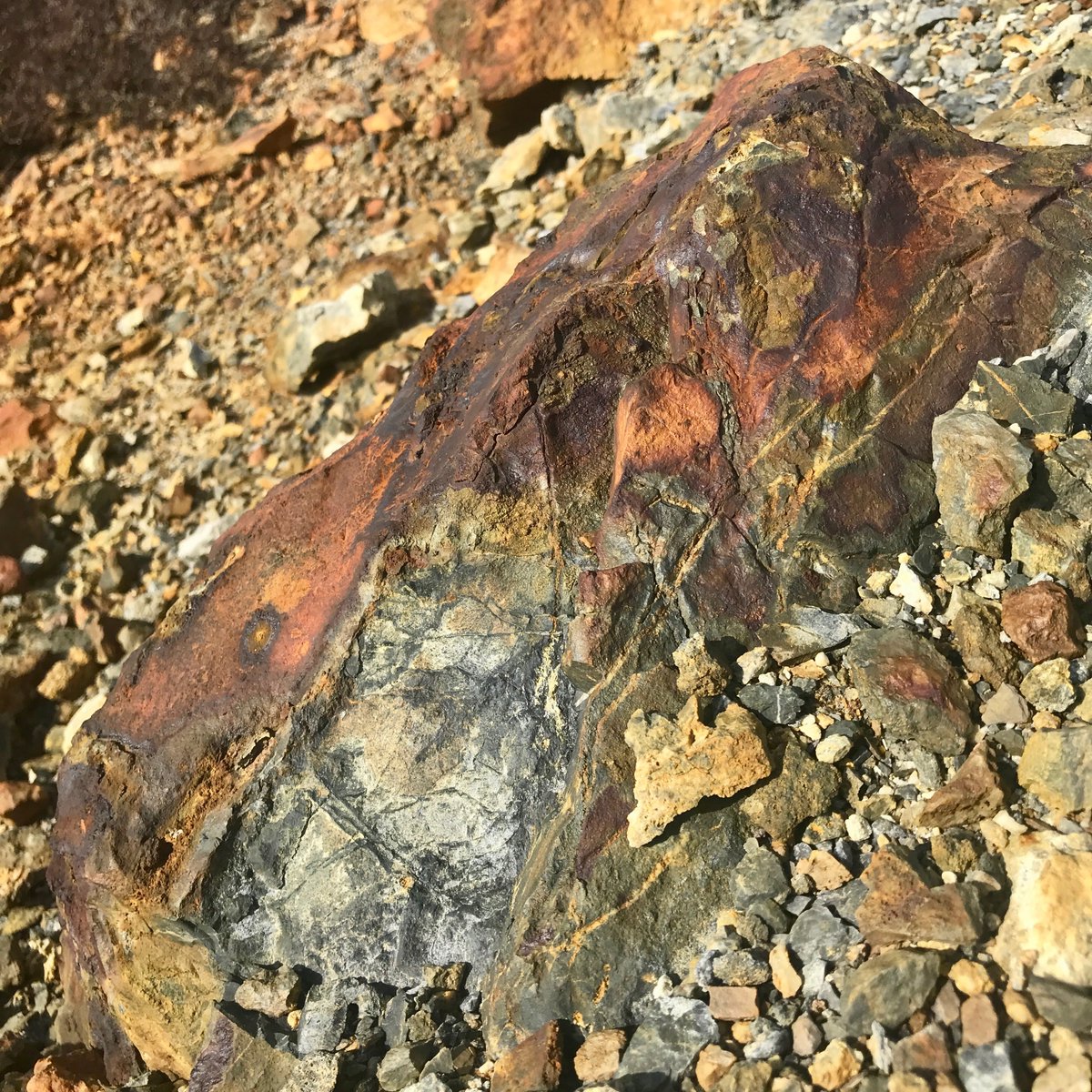 ArtScienceMMU's tweet photo. Pre-lockdown Anglesey walk in the ancient copper mine #parysmountain @zoerwatson @PopovaYelena @JulianWeaver_ @McrSchArt https://t.co/IItU2TkyYX