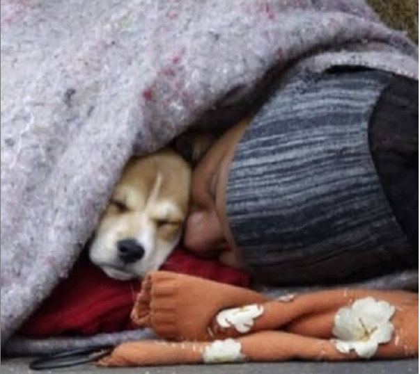 esuplicy's tweet photo. Sugiro ao prefeito Bruno Covas (@brunocovas) que utilize o hospital armado no Pacaembu para abrigar moradores em situação de rua, que sofrem com o frio rigoroso que se estenderá nos próximos dias, além de facilitar a distribuição de refeições. https://t.co/Lx9UXM4qua