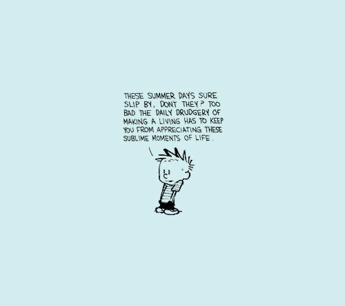 Calvinn_Hobbes's tweet photo. Always try to find the blue sky. ☀️ #calvinandhobbes https://t.co/os4fne8JBU