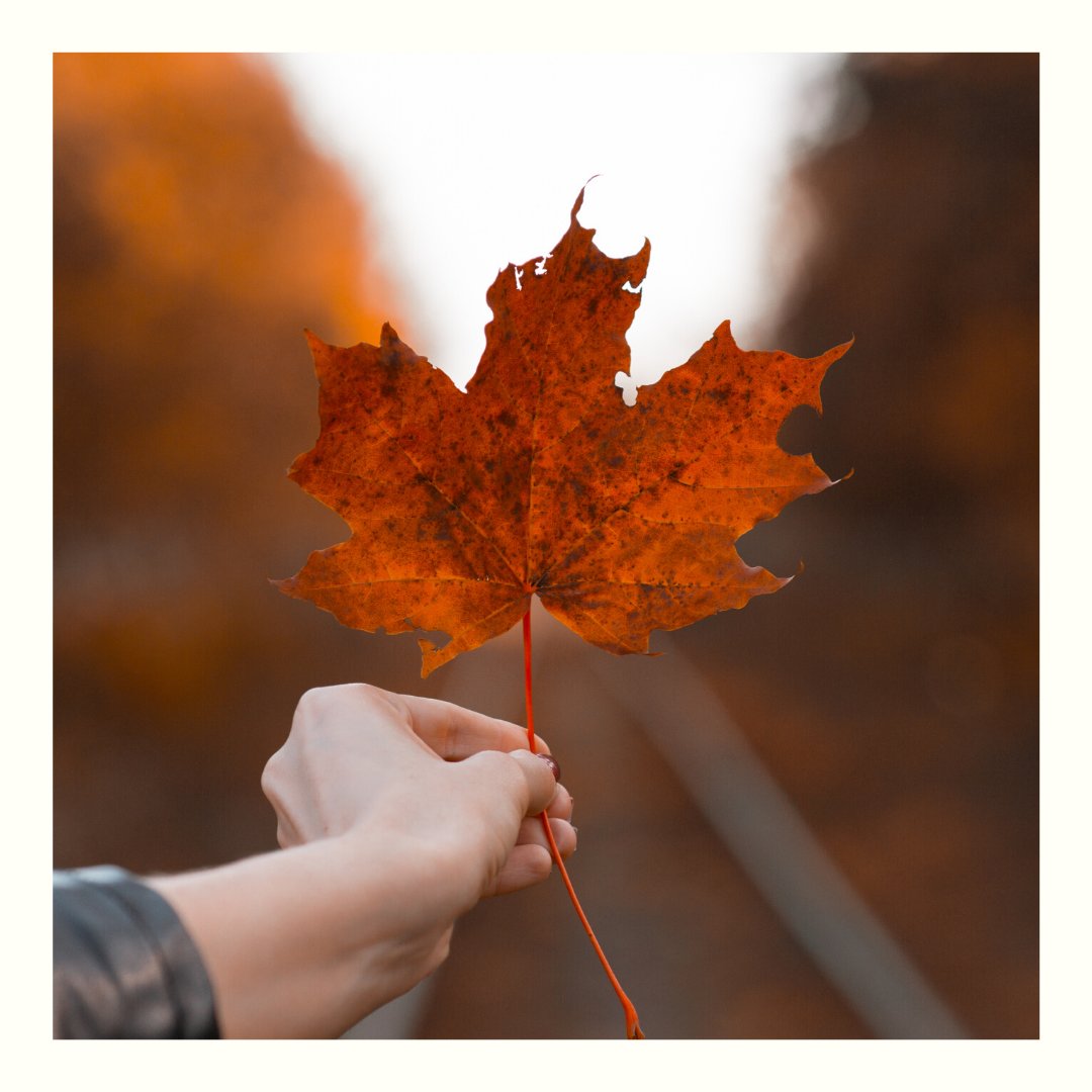 Happy Canada Day! We hope you all have the opportunity to spend today with your loved ones!

#canadaday #community #celebrate #guelph #downtownguelph #smallbusiness