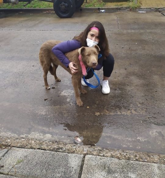 Amor de Perro 🐶 tweet media