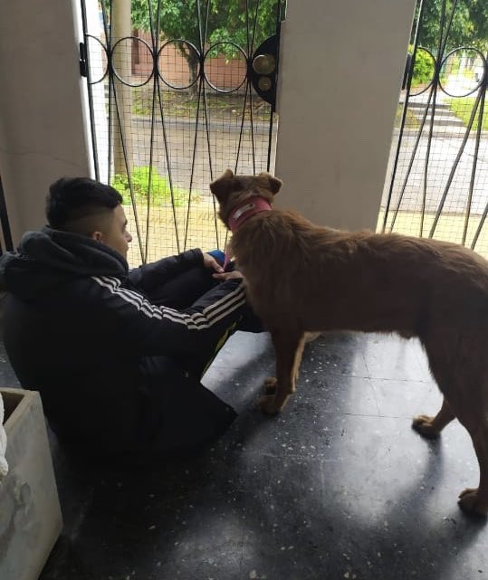 Amor de Perro 🐶 tweet media