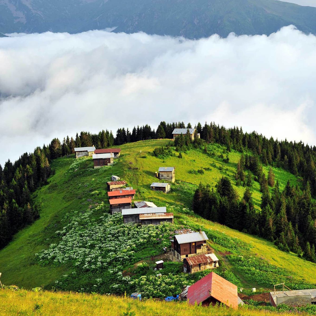Türkiye'nin her yerinden uçak bileti dahil,
12-18 Temmuz -kesin kalkışlı- Karadeniz Yayla Turu tam size göre. 

Türkiye’nin en kapsamlı ve kaliteli Karadeniz Yayla Turu hakkında detaylı bilgi almak ve sorularınız için: 

📞 0 (312) 232 4 233
📱 0 (549) 736 84 70
