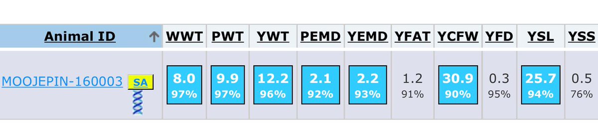 This is 160003. We've used him over 160 AI ewes and half of the ET donors.
He has was actually an ET lamb himself from the last two straws of semen we had from an old sire. 

Some great figures on this guy and his offspring. 👍🏼