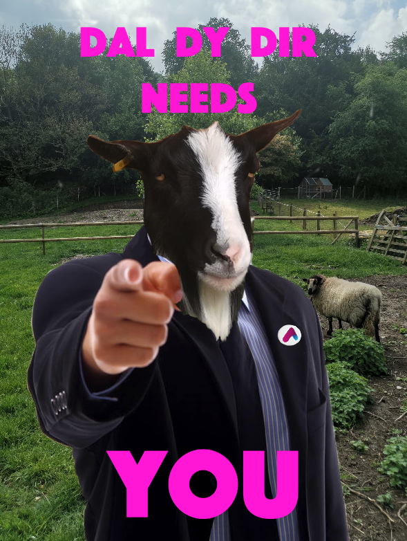 dal_dy_dir's tweet photo. Two days remain to vote for us in the community cash back grant competition. Even George our goat got dressed up to ask you. #DalDyDir #DalDyDo #connected #connectaccessgrow #community #pullingtogether #sharingiscaring #communitycashbackgrant https://t.co/JuEGnlYt8b https://t.co/Z03DyBA9Bv