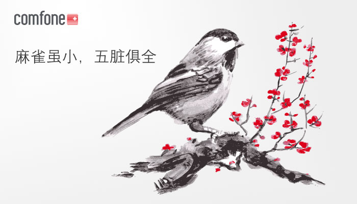 <a href="/Comfone/">Comfone</a>’s ethic reminds me of a Chinese idiom, 麻雀虽小，五脏俱全: ‘although the sparrow is small, it has the same internal working organs as larger animals’. We may be a small company, but we surpass the technical capabilities of larger companies. Garry Toh, Sales Director APAC