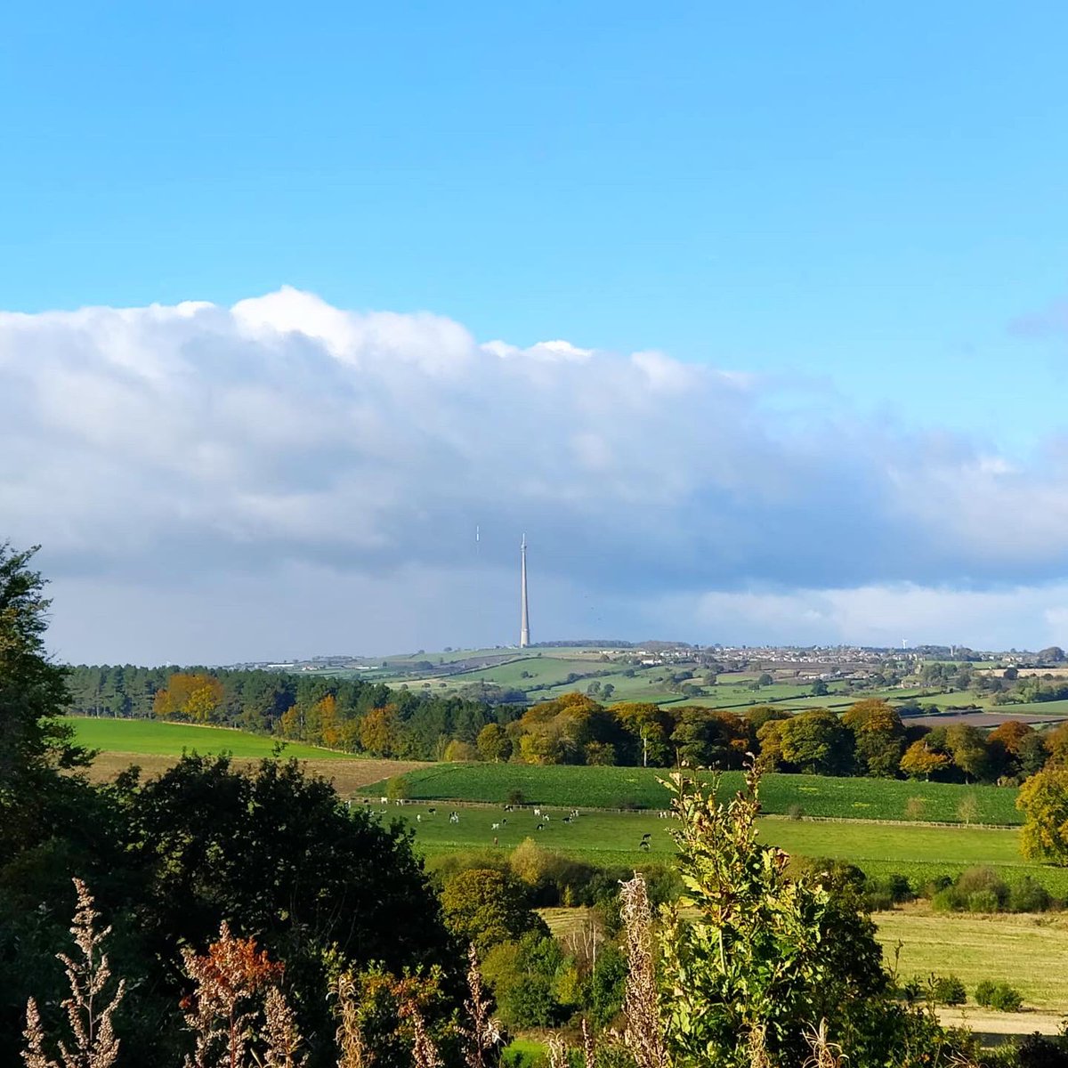 YorkshireColl_'s tweet image. Happy Hump Day everyone!🐪 Take a look at these stunning views from #YorkshireSculpturePark - courtesy of one of our teachers, Suzie! This particular sculpture is #SeatedFigure by #SeanHenry. Have you ever visited @YSPsculpture?😄#leedsschool #studyabroad #learnenglish #yorkshire