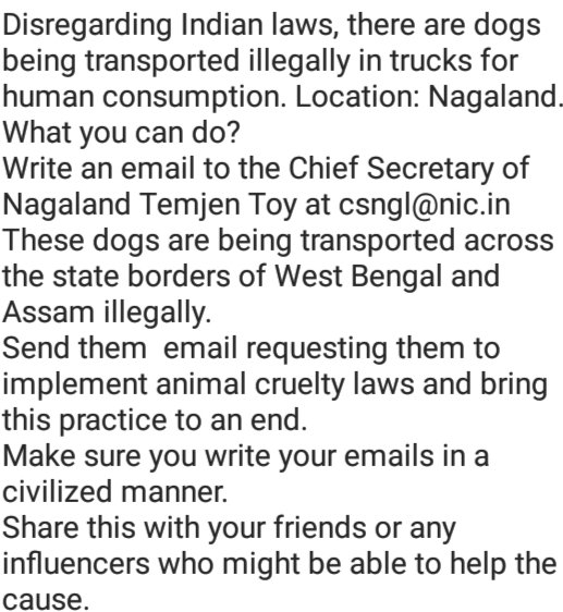 #Nagaland  @MyGovNagaland  #twitter #help #cruel #theyneedyourhelp #helpthedogs