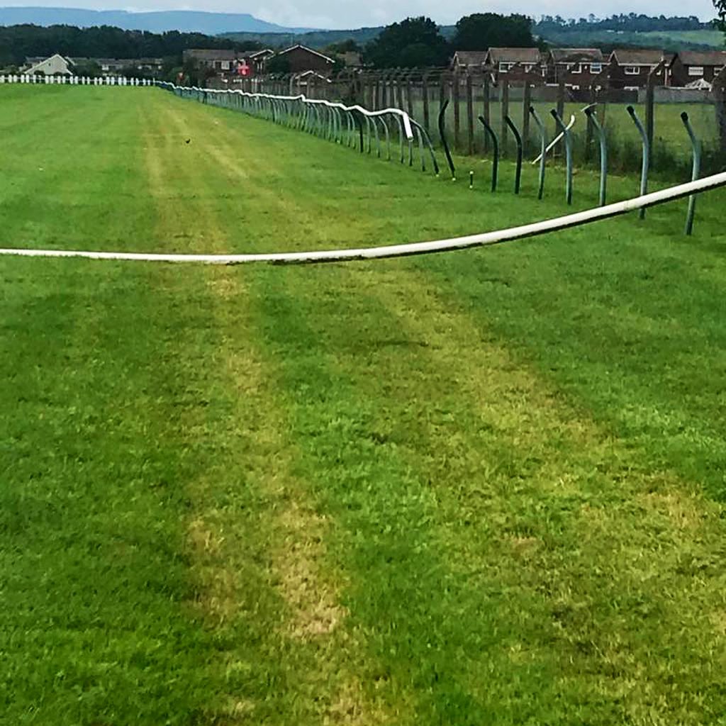 Redcar Racecourse tweet media