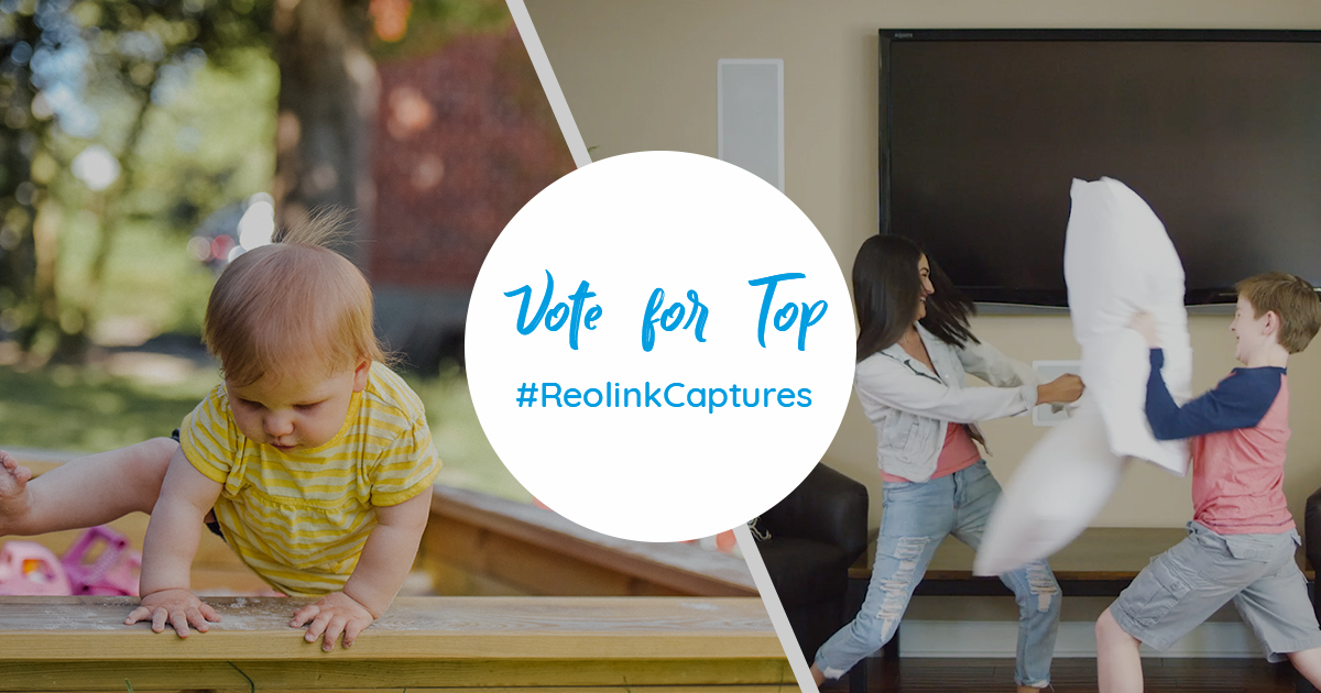 ReolinkTech's tweet image. It is time for a new round of #ReolinkCaptures contest! Vote for your favorite videos here now (valid till July 16th, EDT) 👉 bit.ly/2nPAVNG
If you also want to join this contest, share your best videos captured with #Reolink cameras here 👉 bit.ly/2nAgxjO