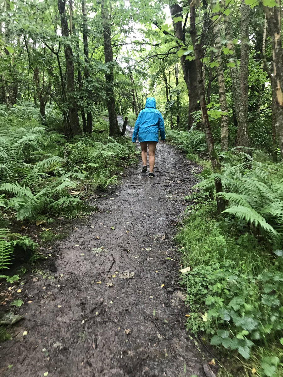 mcintyrebarry's tweet photo. Wee adventurous walk this morning, just wasn’t dressed for the occasion! 🌧 #drookit #mockit https://t.co/CUcAEF3Ago