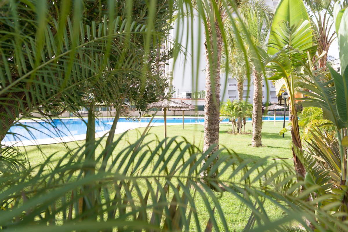 Beninter's tweet image. 💥 Desde hoy, las piscinas de todos nuestros apartamentos vuelven a estar abiertas 💦. Sin embargo, es necesario cumplir con reglas de seguridad:

🧼 Uso de gel desinfectante
🚿 Ducharse antes de entrar al agua
❌ Aforo limitado
📏 Respetar las parcelas trazadas en los jardines