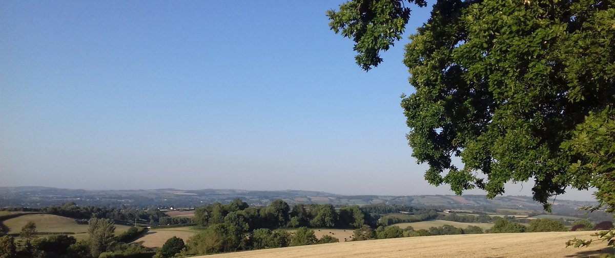 PEARL OF WISDOM
‘If our foresight were only as good as our hindsight’ we could really achieve and progress. Stay well and love life, Carolyn www.10minutehomeworkout #PolarityTherapy #wellness #energy #exercises #boostyourenergy #feelingmotivated #health #flexibility #mentalhealth