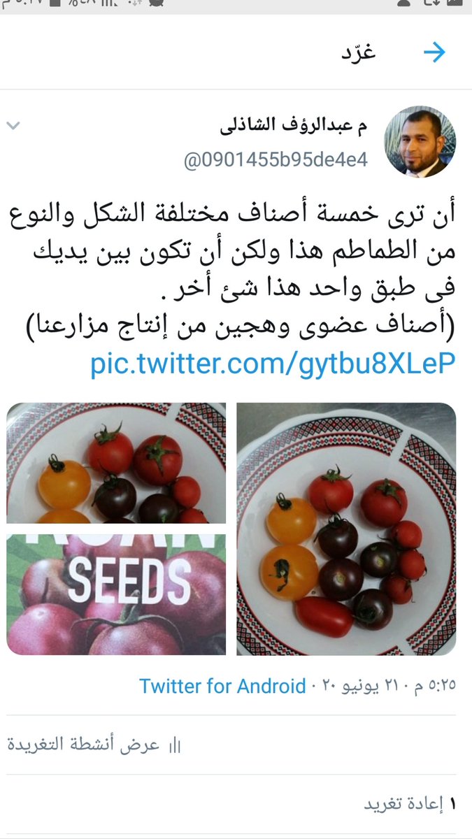 0901455b95de4e4's tweet photo. وفّرنا لكم بذور خيار (أبيض). ردا على الطماطم الأصفر والأسود ، وإستكمالا لطبق السلاطة العجيب. وبذا يكون لا فرق بين خيار أبيض ولا طماطم أسود. فالكل يقطع ويؤكل فى طبق واحد. https://t.co/1hgbHzG6i8