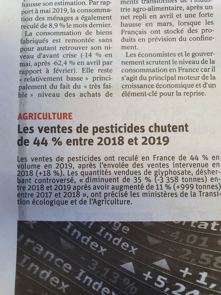 springinsfeld maxime tweet media
