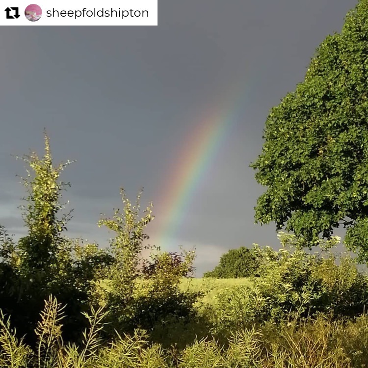 ActivityJournal's tweet photo. Beauty amid the turbulence - lockdown photos 🌈
Instagram repost from @sheepfoldshipton
#mylockdownjournal
#rainbow #cotswolds #lockdownrainbow #positivity #creativity #mentalhealth #wellbeing #digitalpublichealth #health #art #gardening #painting #diary #journal #artjournal https://t.co/kDwc1Wh5Lr