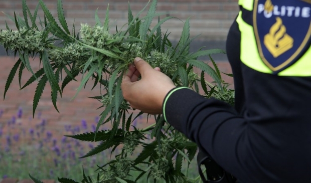 Politie treft hennepkwekerij aan in Ede [EDE] De politie heeft woensdagochtend een hennepkwekerij aangetroffen in een appartement aan de Topaasstraat in Ede.