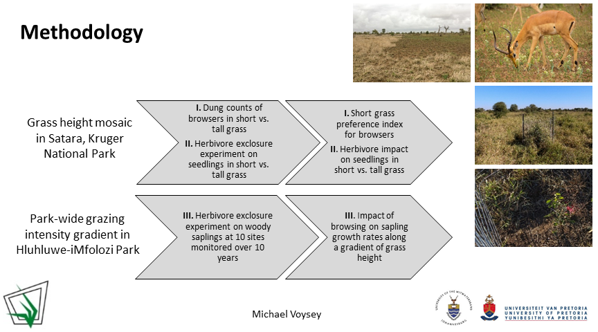 GrasslandSocSA's tweet photo. #GSSACongress55 The interaction between browsers and grassland structure plays a critical role in maintaining grassland structure and bush density https://t.co/Bsy6yZKb3D