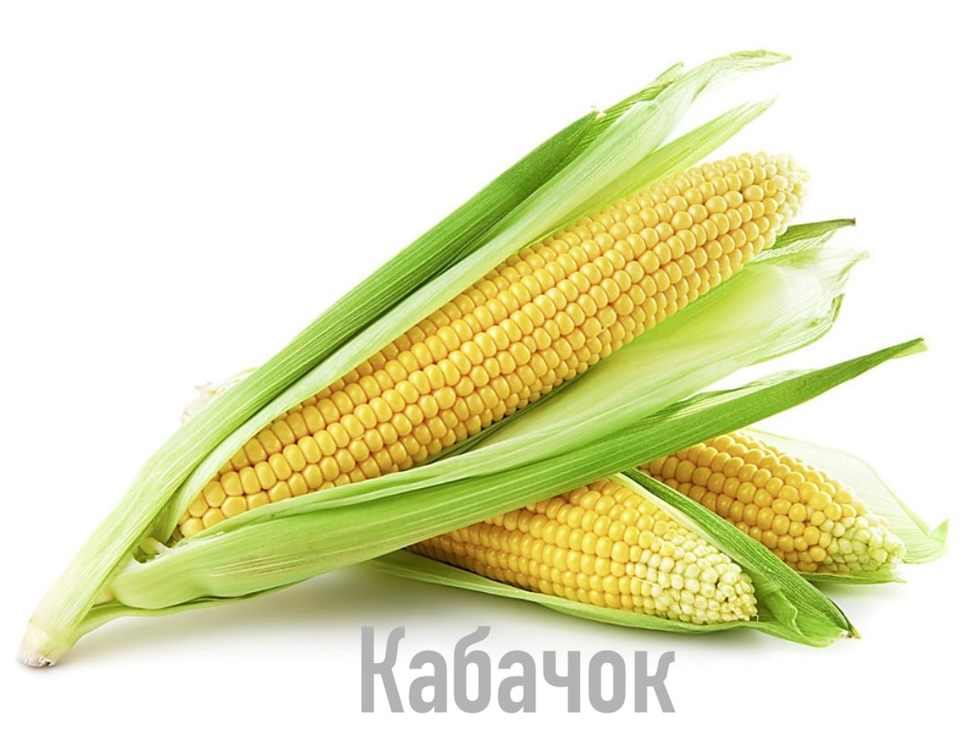 hfrgsy's tweet photo. Присоединяюсь со своими абстрактными мемами, теперь уже с кукурузой
#ФестивальКукурузы https://t.co/ZRMKRyIiXv