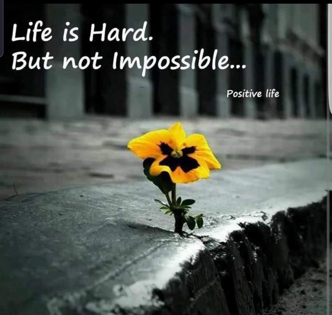 ako_salam's tweet photo. ژیان قورس و زەحمەتە، بەڵام مەحاڵ نییە..!!!!

وەرگێڕان: Chro https://t.co/kRDl1AthTW