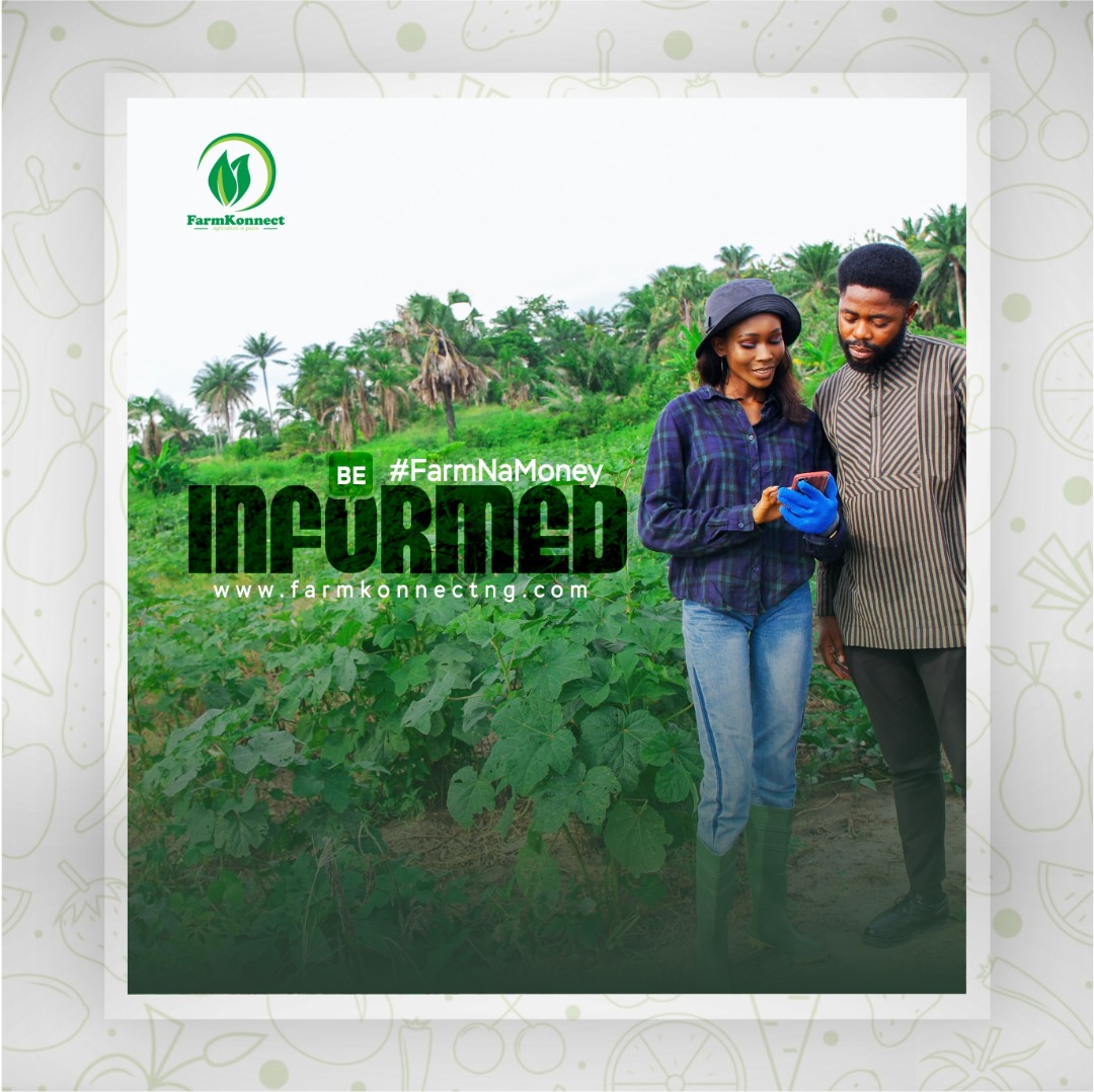 judge_pm's tweet photo. @farmkonnectng holds a vision to make profiting from agriculture easier and more consistent for all and sundry without limitation by boundaries, time, space, skill, social or financial status. Standing on 4 core values of Competence, Integrity, Simplicity, and Equity https://t.co/oRppXIUIKQ