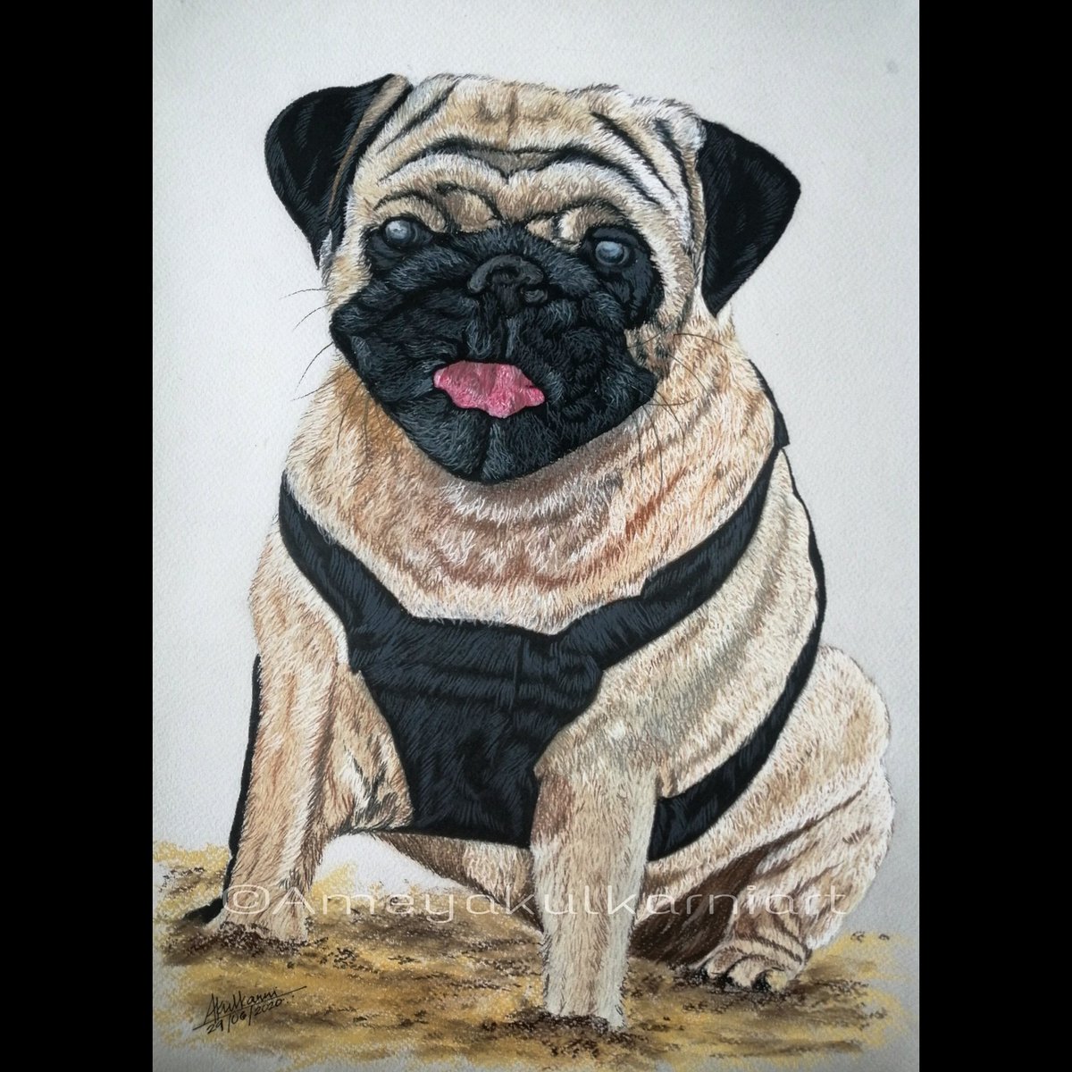 ameyark21's tweet photo. Sketch - Pug πΎ
Pastel pencils on paper.
40cm Γ 30cm.
#art #artist #artwork #pet #petpotrait #petportraitartist #petart #pets #sketch #derwent #pastelpencils #pastelart #carandache #softpastels #custompotrait #drawing #dog #pug #pugs #puglove #puglife #pugnation https://t.co/7LuAzgZ97R