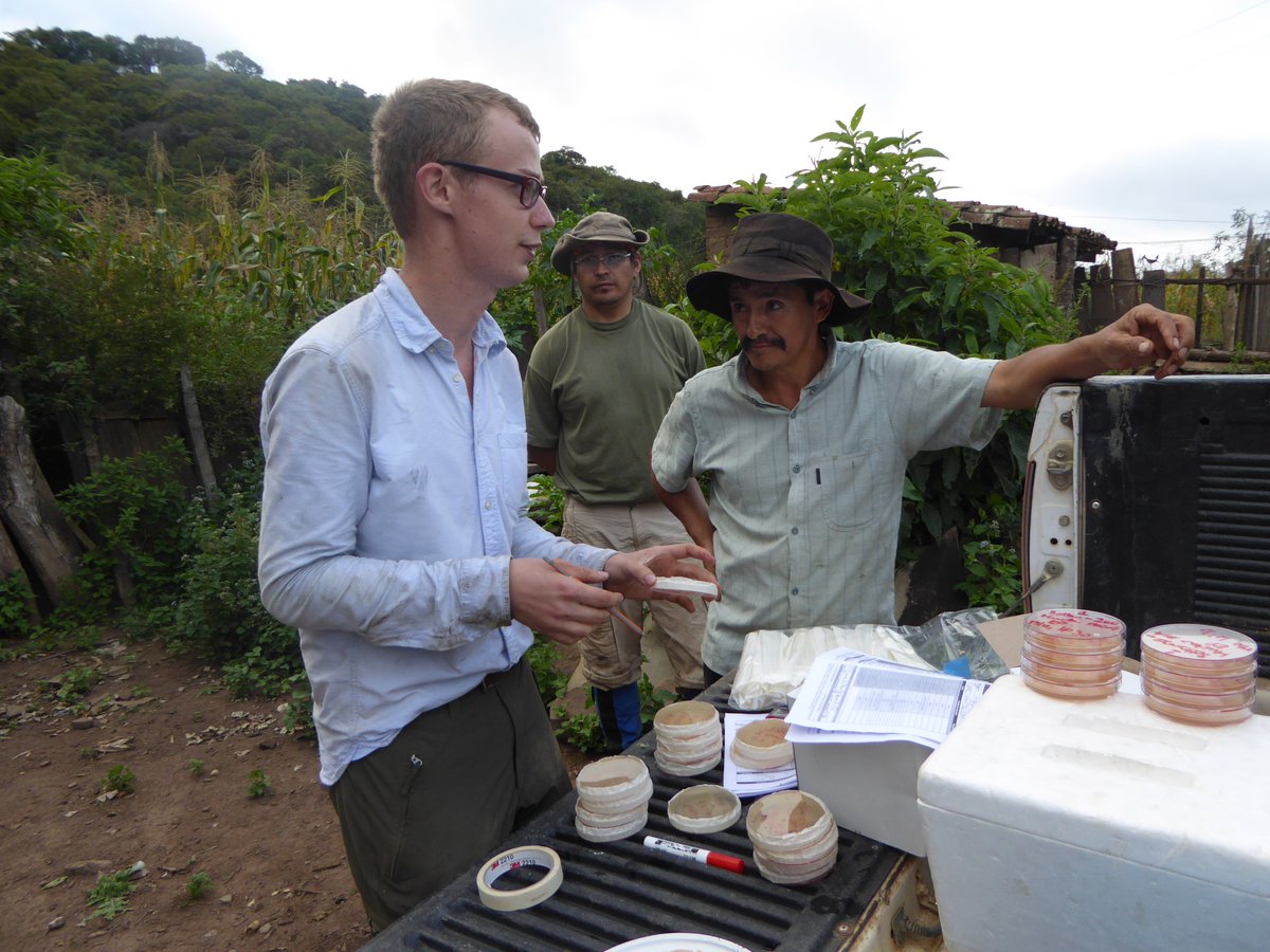 Water quality: While keeping cattle out of rivers improved water quality locally, there was no detectable impact of the intervention (offering WaterShared incentives) on water quality consumed by people. 6/14 https://peerj.com/articles/5753.pdf
