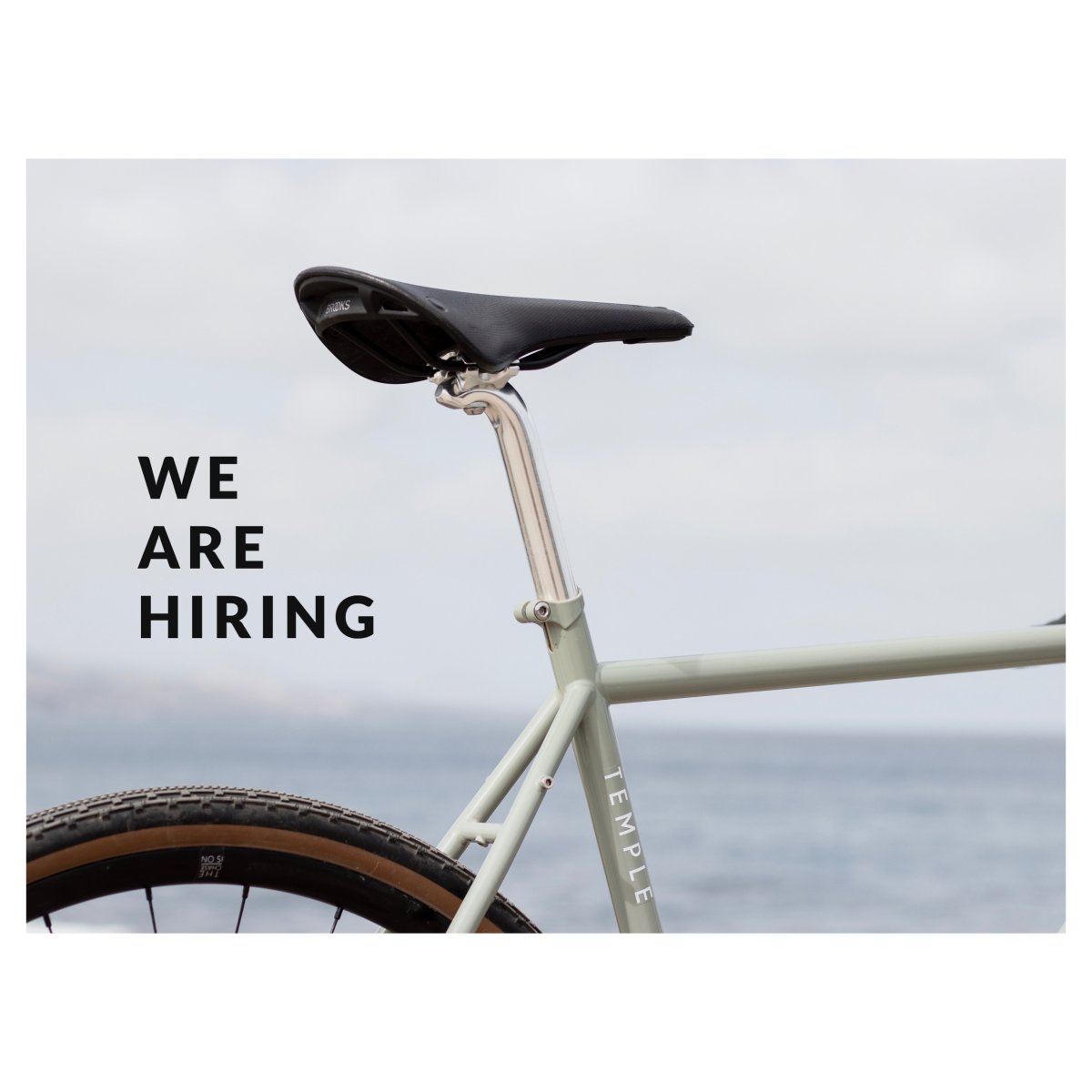 It's exciting times for Temple as we are looking to expand our team. We are hiring for a few roles. These are: Creative Digital Marketing Manager, London Store Manager and also a London Store Team Member. 
templecycles.co.uk/pages/jobs