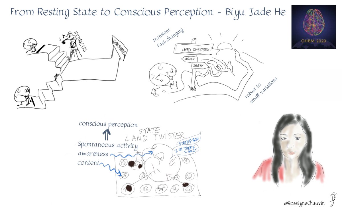 #OHBM2020 keynote lecture "From Resting State to Conscious Perception" by
Biyu Jade He or the brain journey through the land of states #livesketching