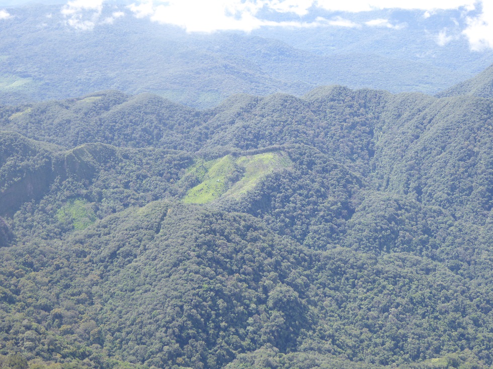 Our new paper looks at a whole range of self-reported outcomes (such as changes in farming) to explore what was & wasn’t changing after 5 years which might be expected to result in impacts longer term. The story is quite complex but informative 9/14 https://conbio.onlinelibrary.wiley.com/doi/full/10.1111/cobi.13508