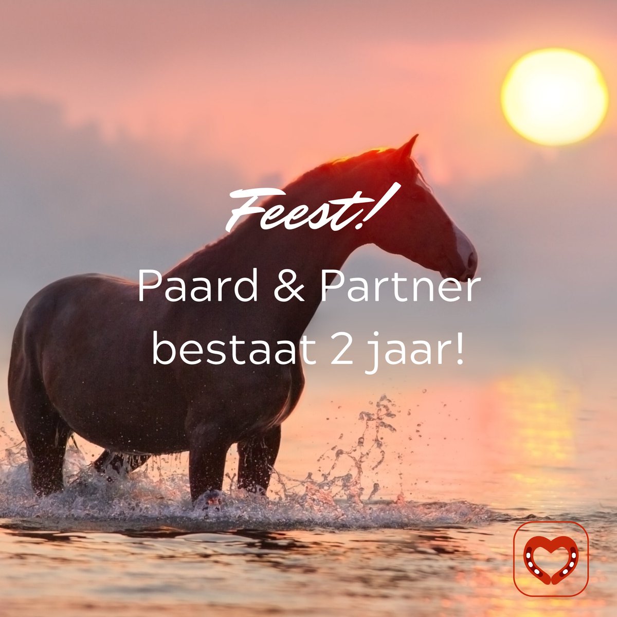PaardPartner's tweet photo. Oh yeah, we bestaan 2 jaar en dat is een klein feestje waard, https://t.co/20LwBl2WGB https://t.co/lDE7O4yYTD