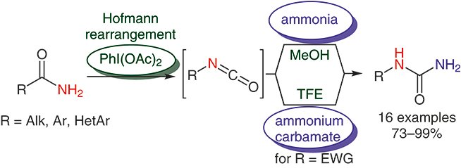 It’s time for SYNFORM news!💡
Recently, Vincent Reboul and Xavier Franck reported a direct and convenient #synthesis of N-substituted #ureas from primary amides via Hofmann rearrangement. What a great achievement!👏
Read more ➡️ fal.cn/38V1l