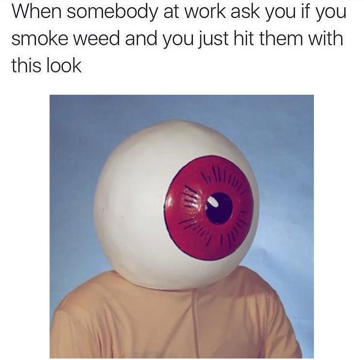 ShitpostBot 5000 tweet media